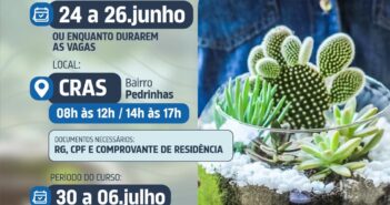 Curso de Terrário!