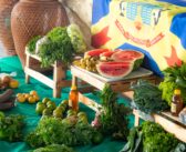 Programa de Aquisição de Alimentos (PAA)