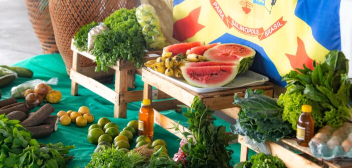 Programa de Aquisição de Alimentos (PAA)